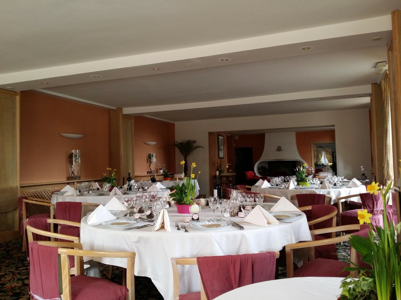 Hostellerie Des Cedres Villeneuve-de-Riviere Екстер'єр фото
